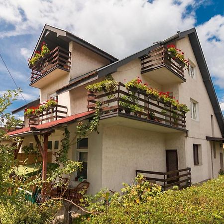 Drina - Bajina Basta Hotel Exterior photo